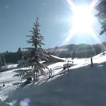 Wandlehenhof Grossarl