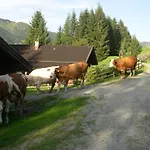 Κατάλυμα σε φάρμα Wandlehenhof Grossarl