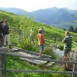 Alloggio per agriturismo Wandlehenhof