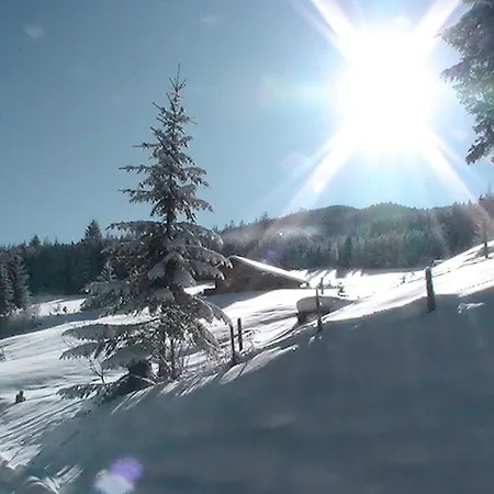 Wandlehenhof Grossarl