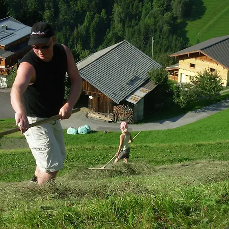 Wandlehenhof Grossarl