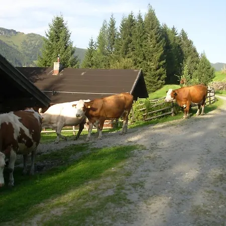 Κατάλυμα σε φάρμα Wandlehenhof Grossarl