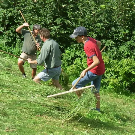 Çiftlik konaklama Wandlehenhof *