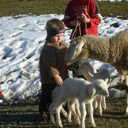 Κατάλυμα σε φάρμα Wandlehenhof Grossarl