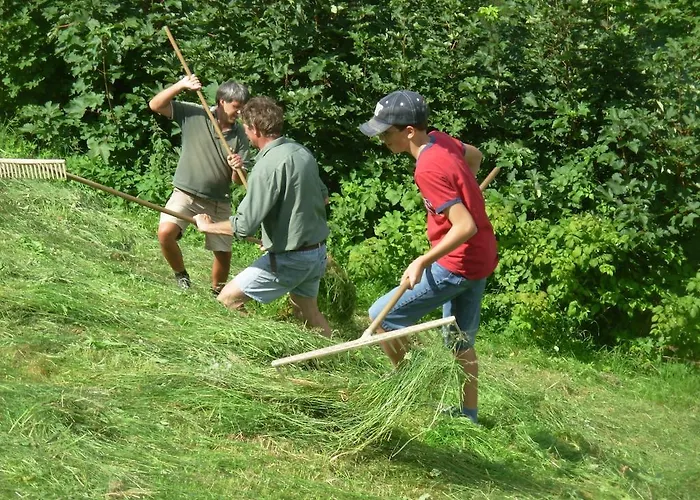 Фермерский дом Wandlehenhof *